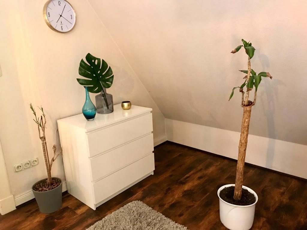 Naturnahes Heimatbasis